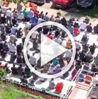 Самарцы боятся выпускать на улицу детей из-за массовых...