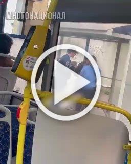 В Твери зайцы решили бесплатно покататься в общественном транспорте и вот, что из этого вышло