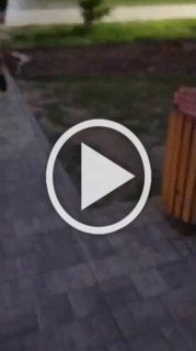 Полиция задержала пьяных зумеров назвавших русских...