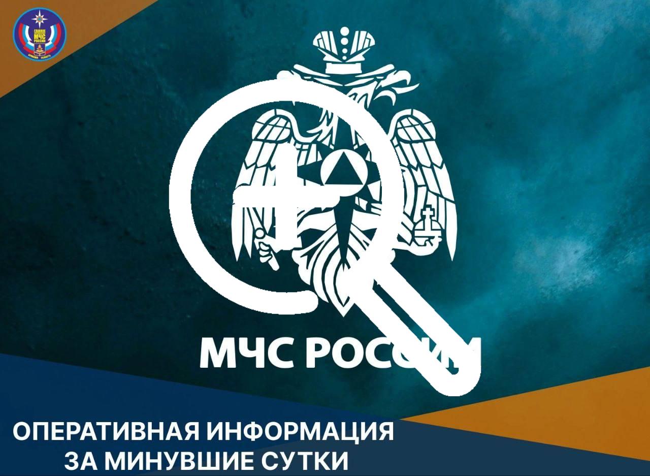 В Брянской области за прошедшие сутки потушено 13 пожаров: