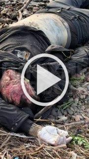 В Красноярском крае жители нашли мертвеца в Енисее