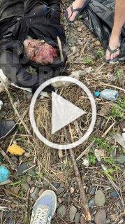 В Красноярском крае жители нашли мертвеца в Енисее