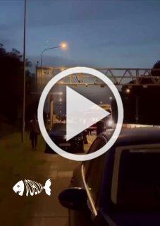 мужик залез на крепления въезда в город и отказался слезать — по итогу его сняли спасатели