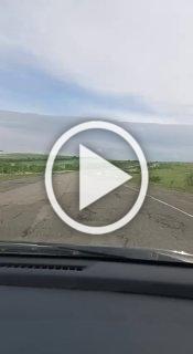 Между Саяногорском и Абаканом в полях и на обочинах -...