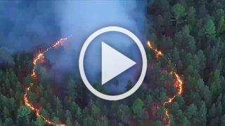 Кольцо огня в красноярском лесу. Гроза прошлась по краю и...