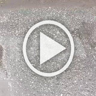 «Единственный живой, попарить тебе дать?» На видео —...