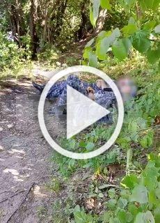 Баю-баюшки-баю от росгвардейцев из Подмосковья. Они...