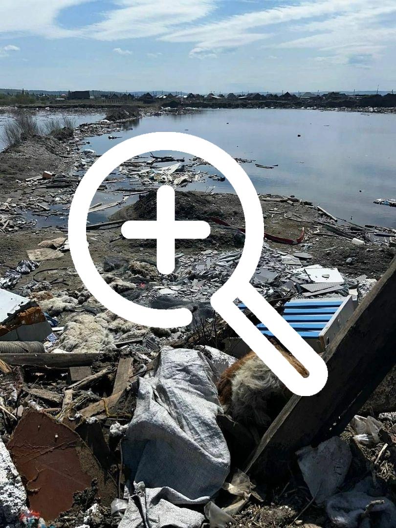 Прокуратура взяла на контроль ситуацию с загрязнением озера в селе Максимовщина Иркутского района.