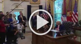 ❗️Не только Путин, но и Зеленский очень упрям, - Трамп на брифинге в Белом доме.