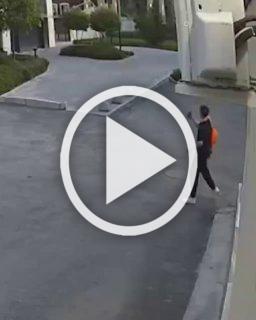 Уличные вандалы разрисовали фасад мастерской на Сакко и Ванцетти, 52, создав граффити с изображением Бибы и Бобы