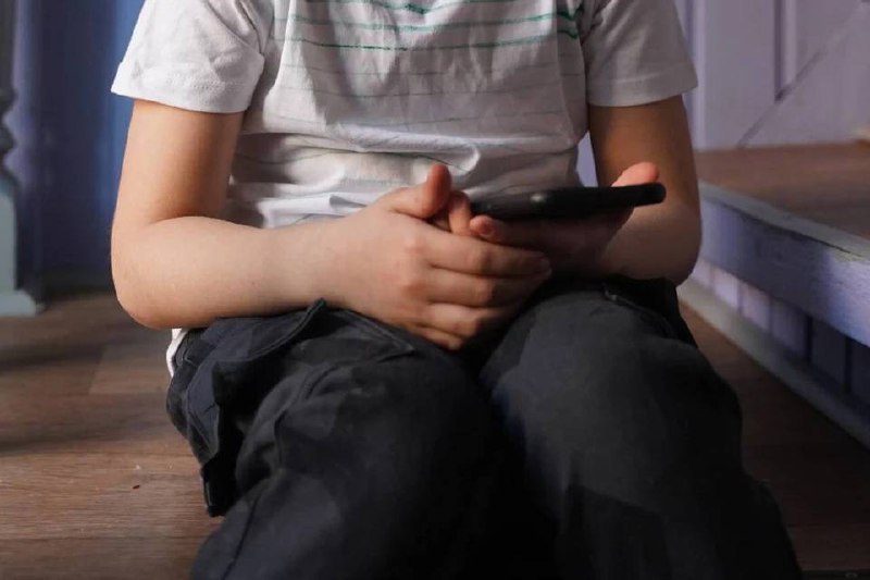 В Саяногорске 9-летний сын помог мошенникам обчистить отца