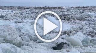 Ледоход на севере края Кажется, что ледоход стоит, а...