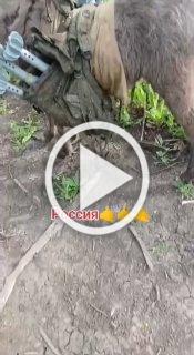 ❗️Позывной 