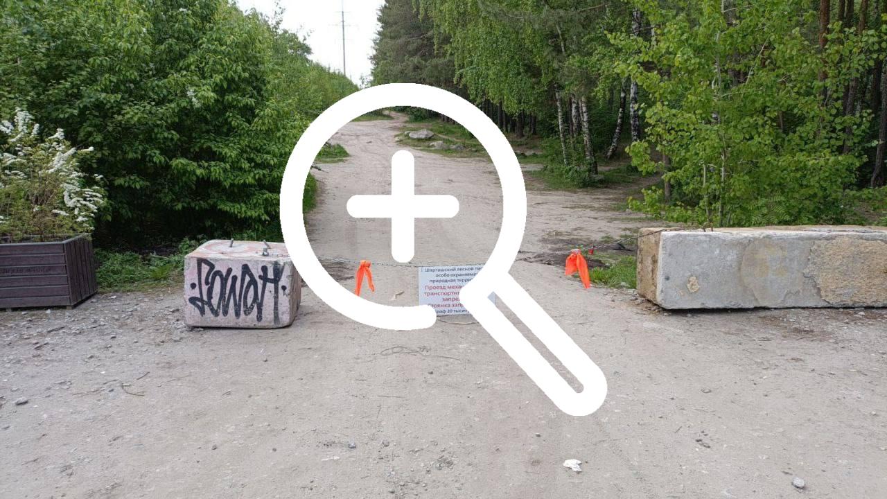 В Шарташском лесопарке закрыли дорогу, которая проходила...