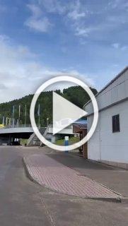 Медведи замечены в окрестностях Красноярска - в «Бобровом...