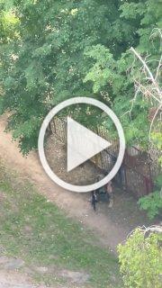 ВСУшник открыл стрельбу в центре Харькова и распугал прохожих