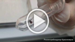 🕷️ Клещи не отступают: в крае уже более 7500 пострадавших