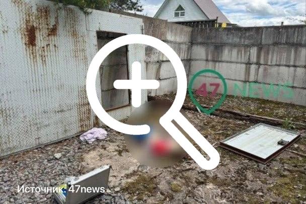 Под Выборгом 9-летний мальчик погиб из-за падения железных ворот