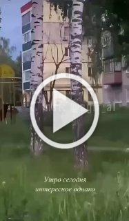 В Кстово Нижегородской области вынесли труп собутыльника под кусты, так как тело смущало их своим присутствием в квартире.