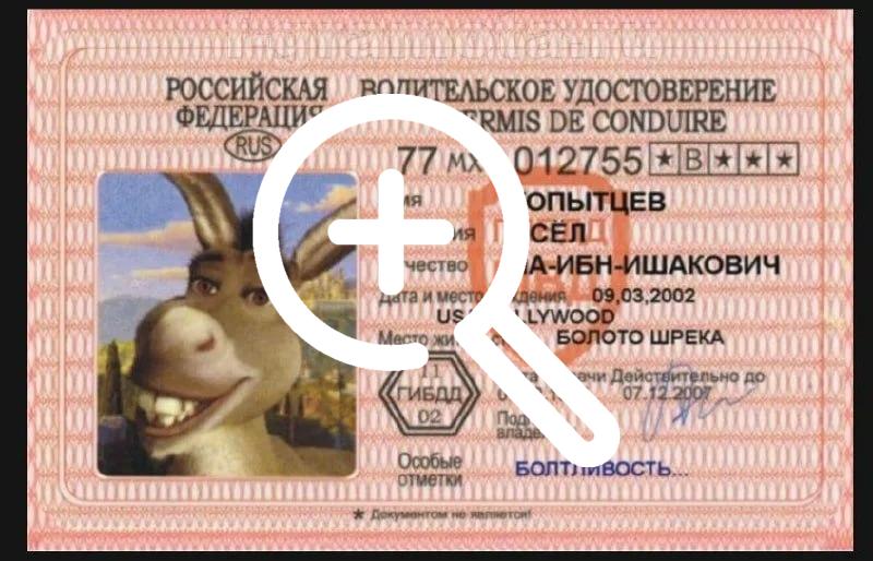 В Подмосковье гений купил поддельные водительские права и обратился в полицию
