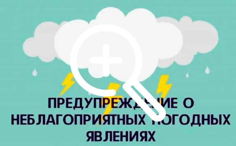 Заморозки, грозы и сильный ветер ожидаются в крае в...
