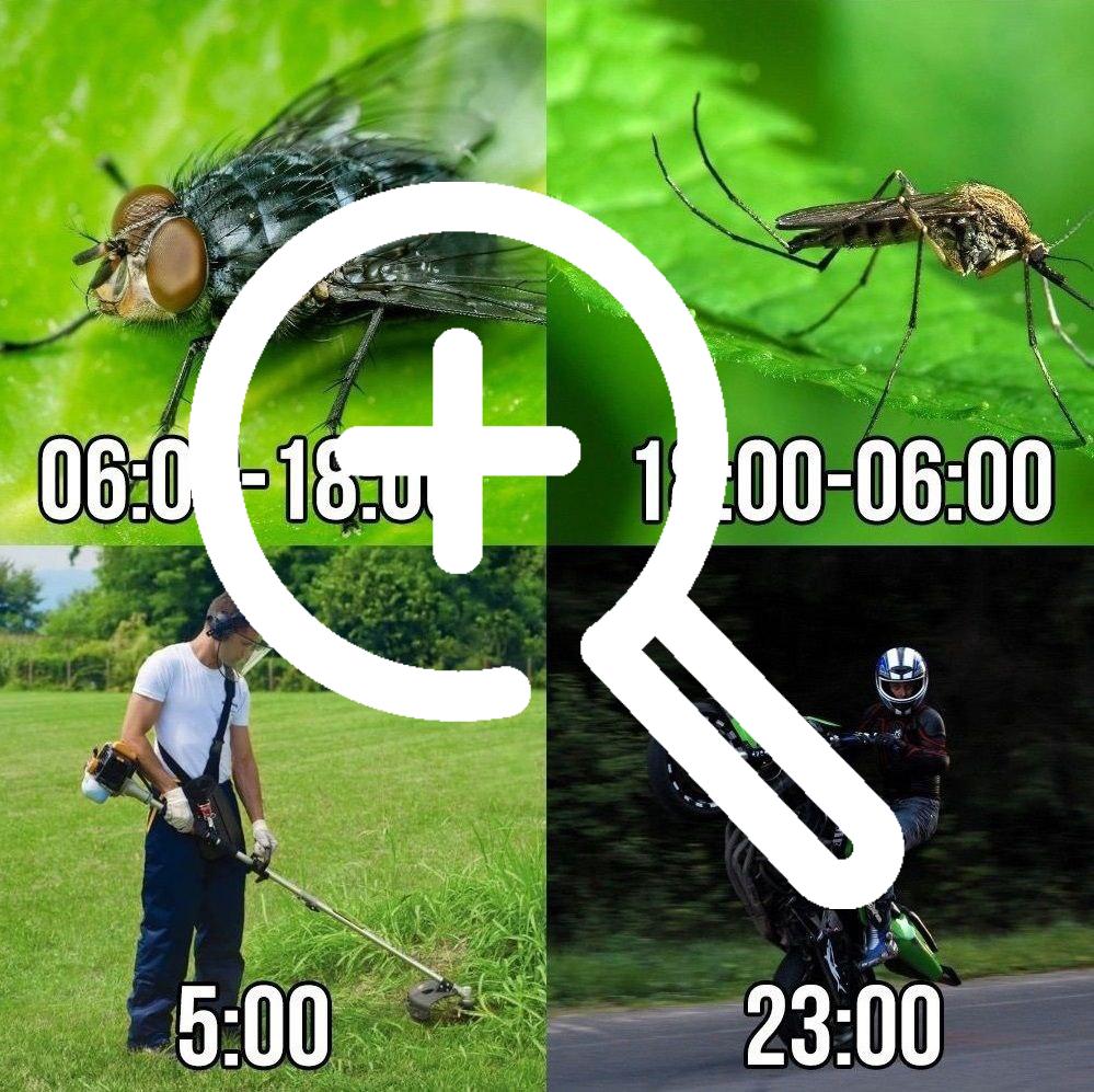 День любителей лета отмечается сегодня!