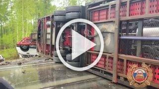 ДТП с двумя грузовиками произошло на трассе «Сибирь»...