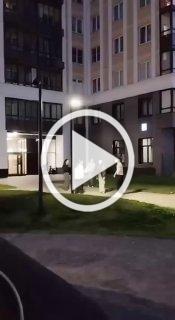 Москвичку арестовали на 13 суток за крики «Русские п*дорасы» во дворе дома.