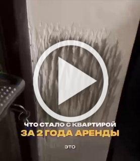 В Питере семья с ребёнком и семью собаками разрушили...