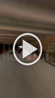 В Австрии подростки сняли смерть друга-зацепера, который ударился головой о мост