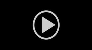 ‼️🇷🇺🇺🇦 Все три теракта в Курской и Брянской областях организованы спецслужбами Украины — Бастрыкин