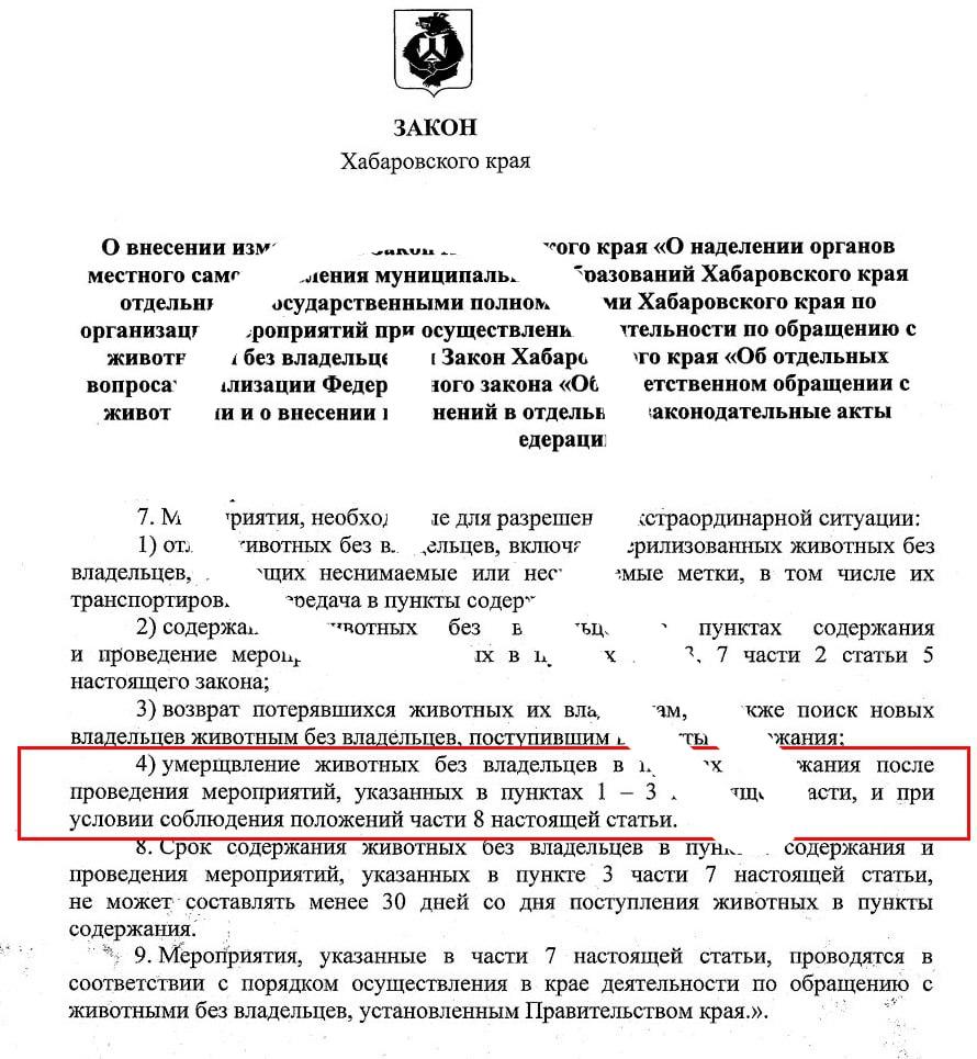 Эвтаназию бродячих собак разрешили в Хабаровском крае после многочисленных нападений на людей