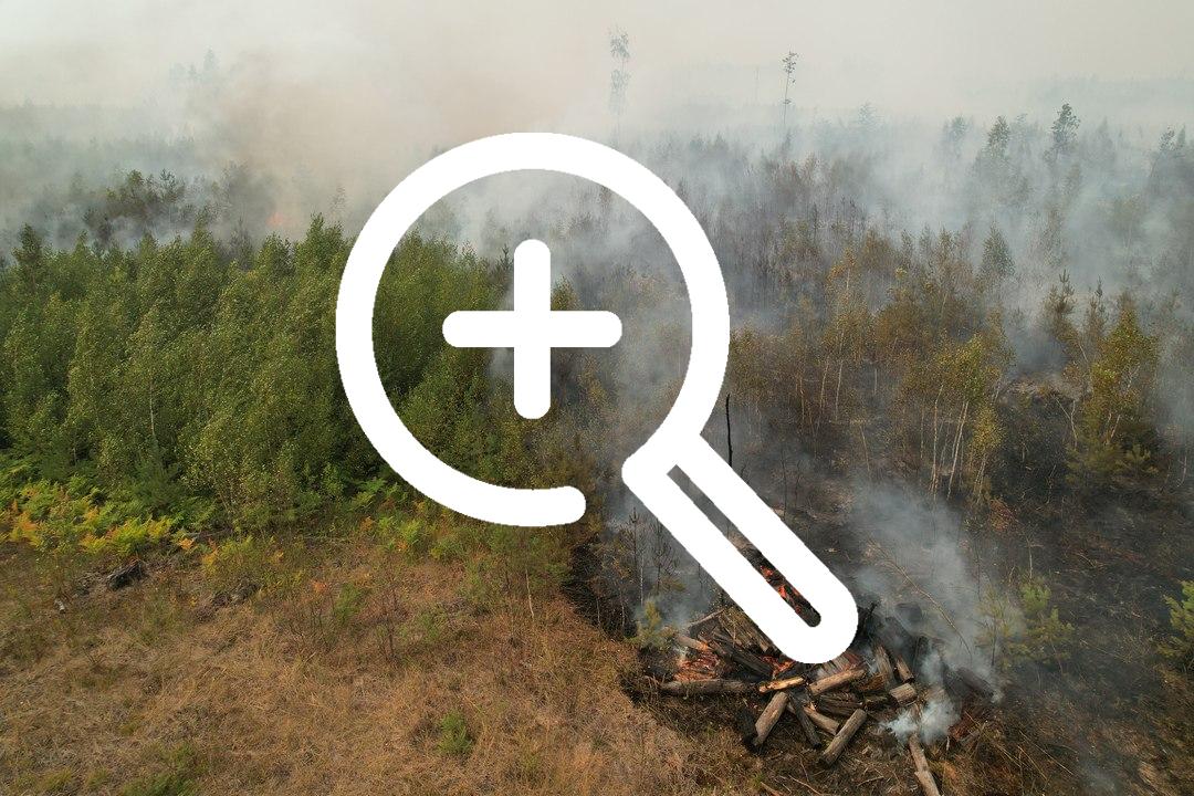 В Новосибирске в июне ожидается высокий риск пожаров
