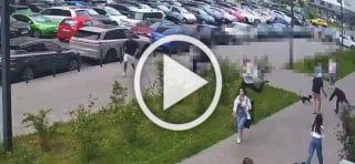 В Люберцах произошел фруктовый конфликт: сначала у арбуза...