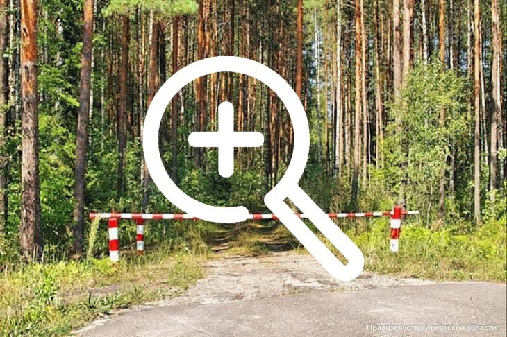 Лес под запретом: для жителей ограничили посещение лесов в Иркутской области