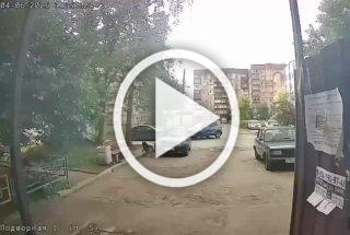 В Нижнем Новгороде неадекват тренировал стрельбу на собаке