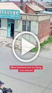 В Китае мужик на скутере выехал наперерез грузовику с...