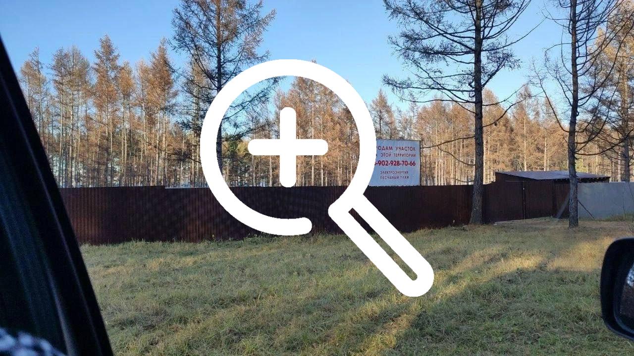 У озера Большое хотели прихватить кусок леса — теперь...