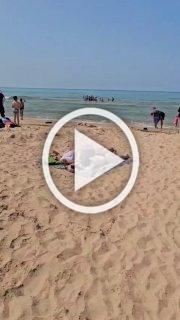 Обстановка на пляже в Анапе: местные жители купаются в море с детьми на фоне волонтеров, убирающих мазут
