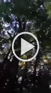 ❗️По позициям наших военнослужащих был осуществлён запуск...
