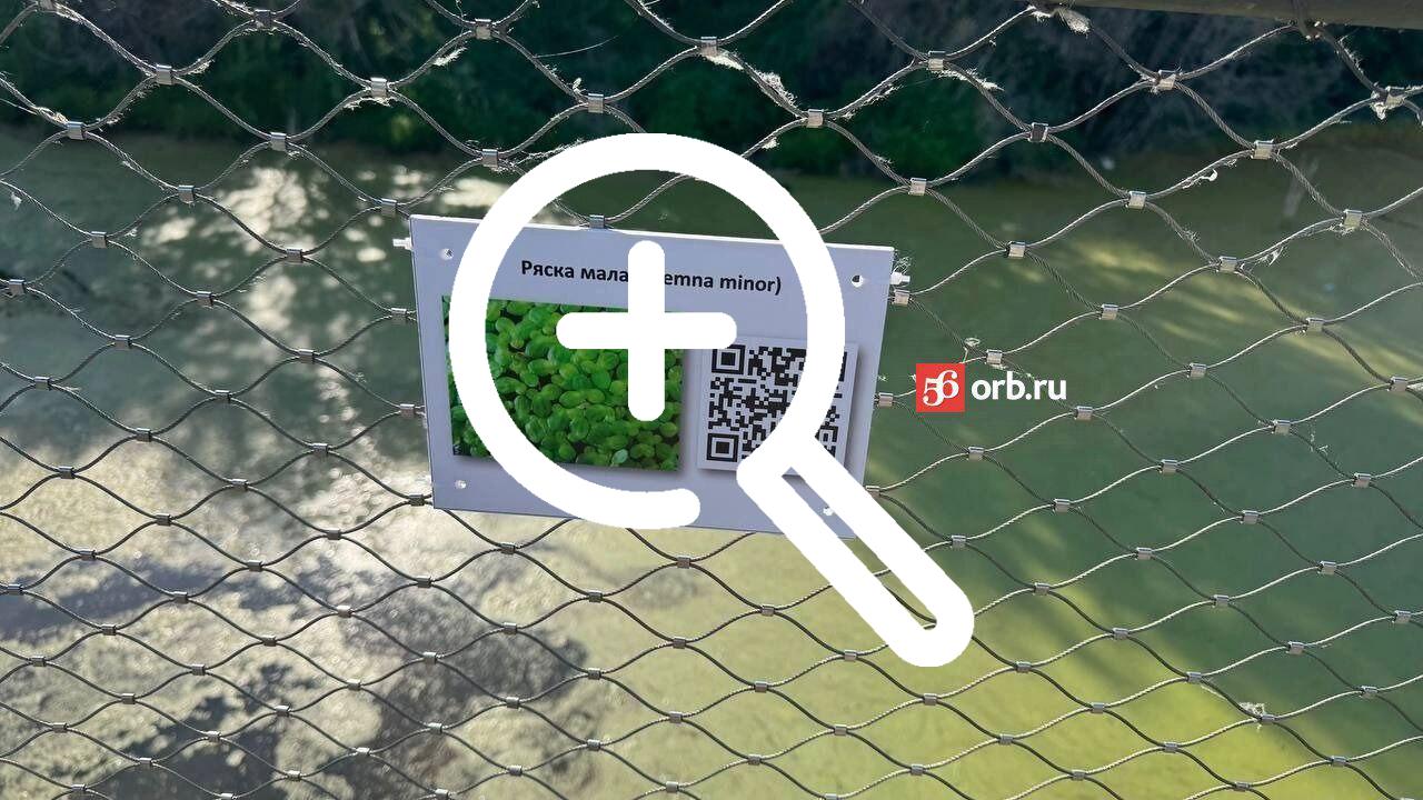 Тропа здоровья в Оренбурге получила цифровое обновление!...