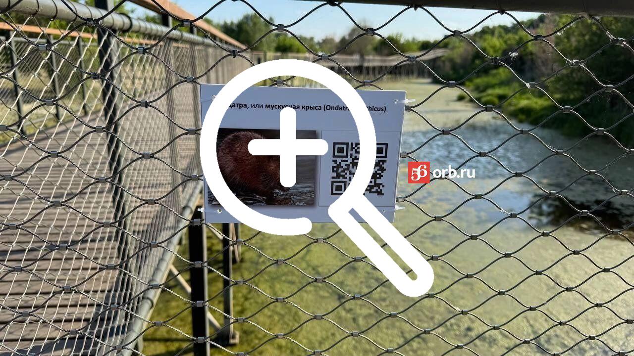 Тропа здоровья в Оренбурге получила цифровое обновление!...