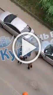 В Кудрово две обезьяны не поделили чернильницу и устроили за её сердце поединок.