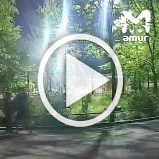 Изверг избил пожилую мать и открыл газ в квартире.