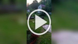 В Свердловской области на дачи стали выходить погулять...