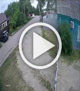 Собака вырвала ребёнка из рук матери и покалечила — в Пензе разыскивают владельцев бойцовского пса