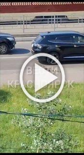 Семья уток чудом не погибла под колесами авто на проспекте Красноярский рабочий