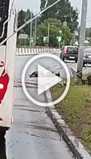 Человек вылетел из красного седана и оказался прямо на...