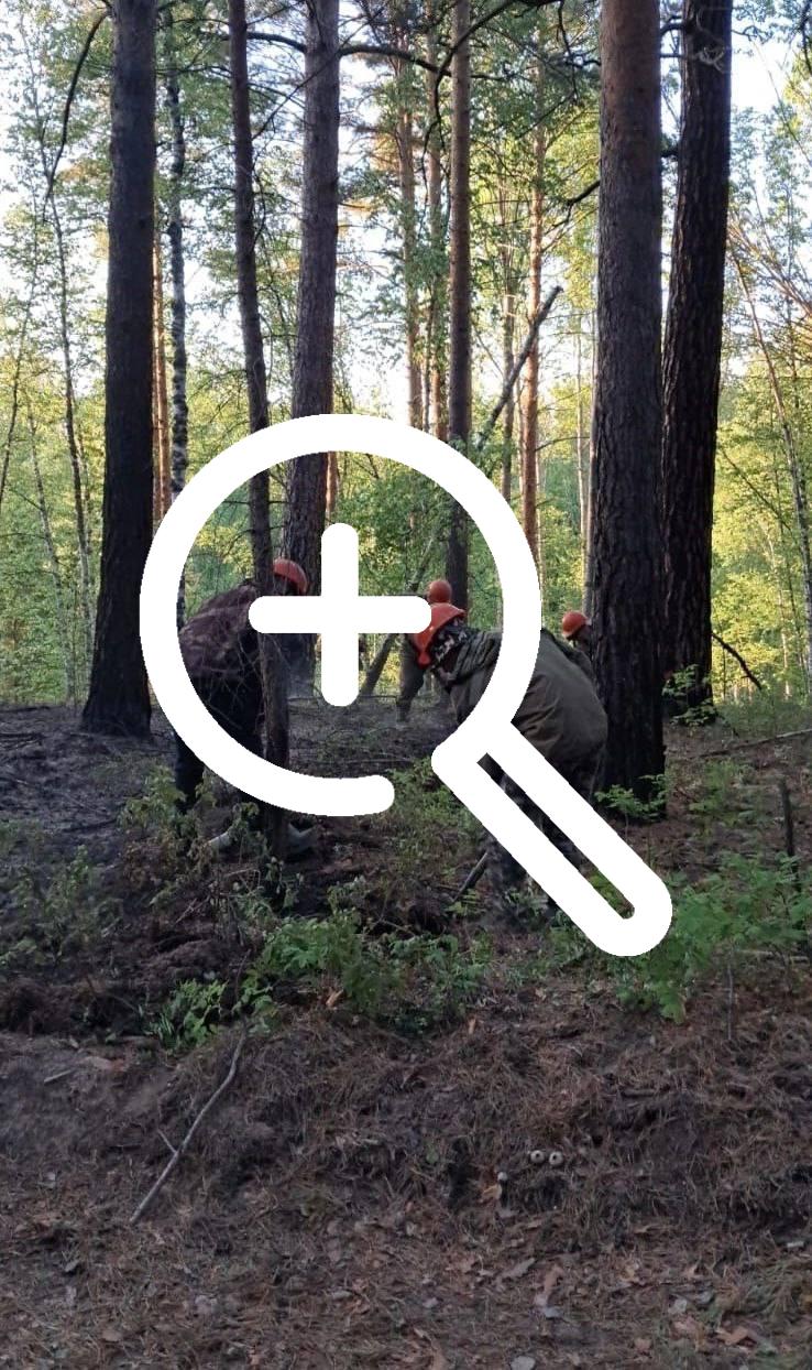 Огонь с трёх сторон, озеро с четвёртой: как лесные...