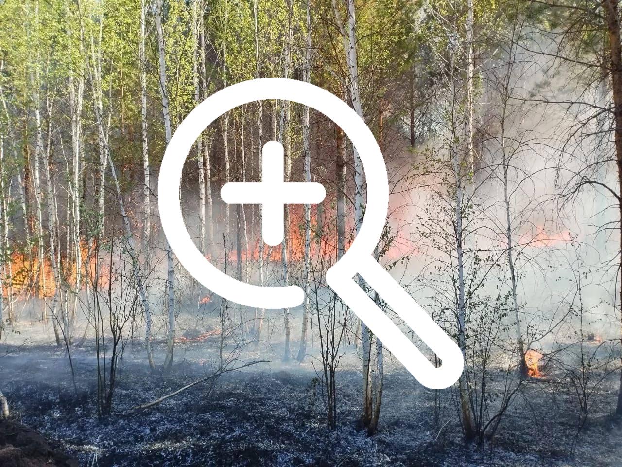 Огонь с трёх сторон, озеро с четвёртой: как лесные...